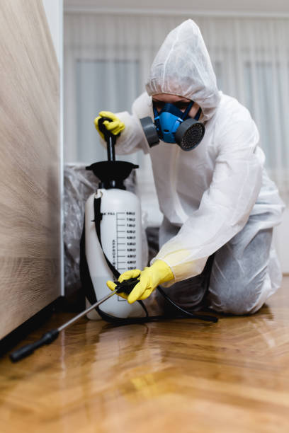 Best Pest Prevention Services  in Westwego, LA